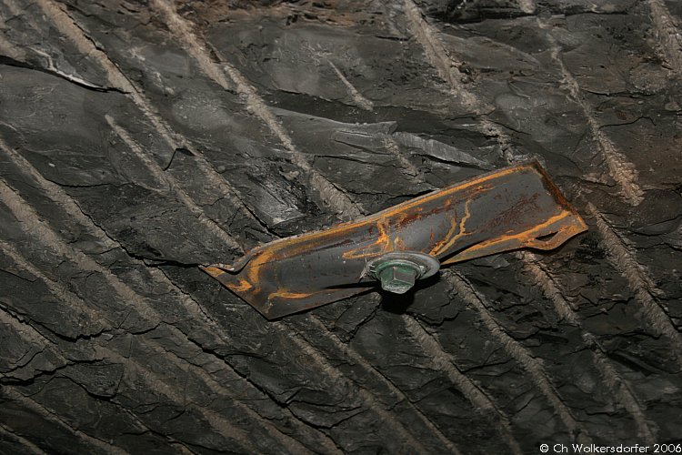 GipsonCountyCoal_060331_30.JPG
