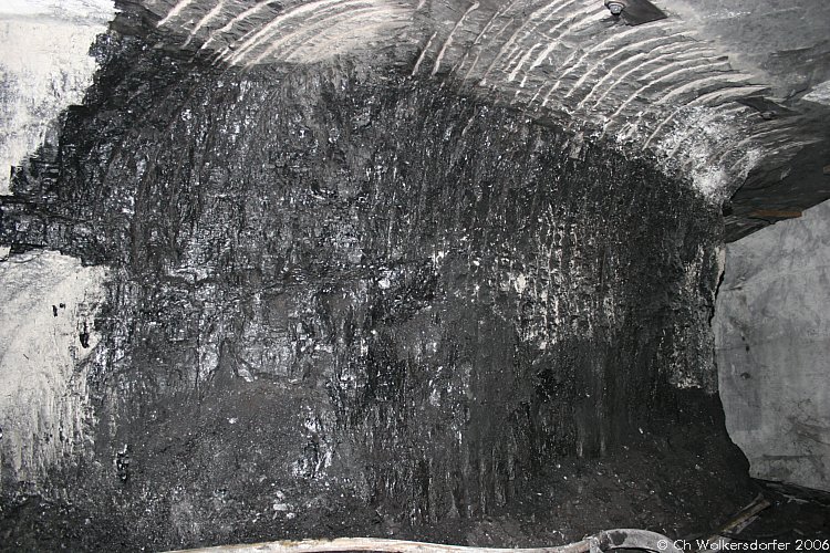 GipsonCountyCoal_060331_34.JPG