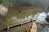 LogCreekChurch_060331_01.JPG LogCreekChurch_060331_01.JPG