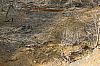 LogCreekChurch_060331_03.JPG LogCreekChurch_060331_03.JPG