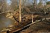 Palzo_060401_03.JPG Palzo_060401_03.JPG