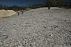 Rosiclare_060401_06.JPG Rosiclare_060401_06.JPG