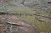 TabSimcoMine_060330_09.JPG TabSimcoMine_060330_09.JPG