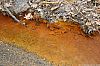 TabSimcoMine_060330_12.JPG TabSimcoMine_060330_12.JPG