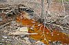 TabSimcoMine_060330_15.JPG TabSimcoMine_060330_15.JPG