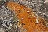 TabSimcoMine_060330_16.JPG TabSimcoMine_060330_16.JPG