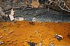 TabSimcoMine_060330_18.JPG TabSimcoMine_060330_18.JPG