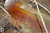 TabSimcoMine_060330_34.JPG TabSimcoMine_060330_34.JPG