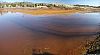 WillScarlet_060401_02.JPG WillScarlet_060401_02.JPG