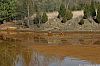 WillScarlet_060401_05.JPG WillScarlet_060401_05.JPG