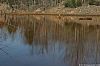 WillScarlet_060401_07.JPG WillScarlet_060401_07.JPG
