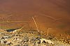 WillScarlet_060401_08.JPG WillScarlet_060401_08.JPG