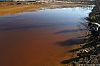 WillScarlet_060401_11.JPG WillScarlet_060401_11.JPG