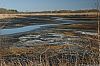 WillScarlet_060401_12.JPG WillScarlet_060401_12.JPG